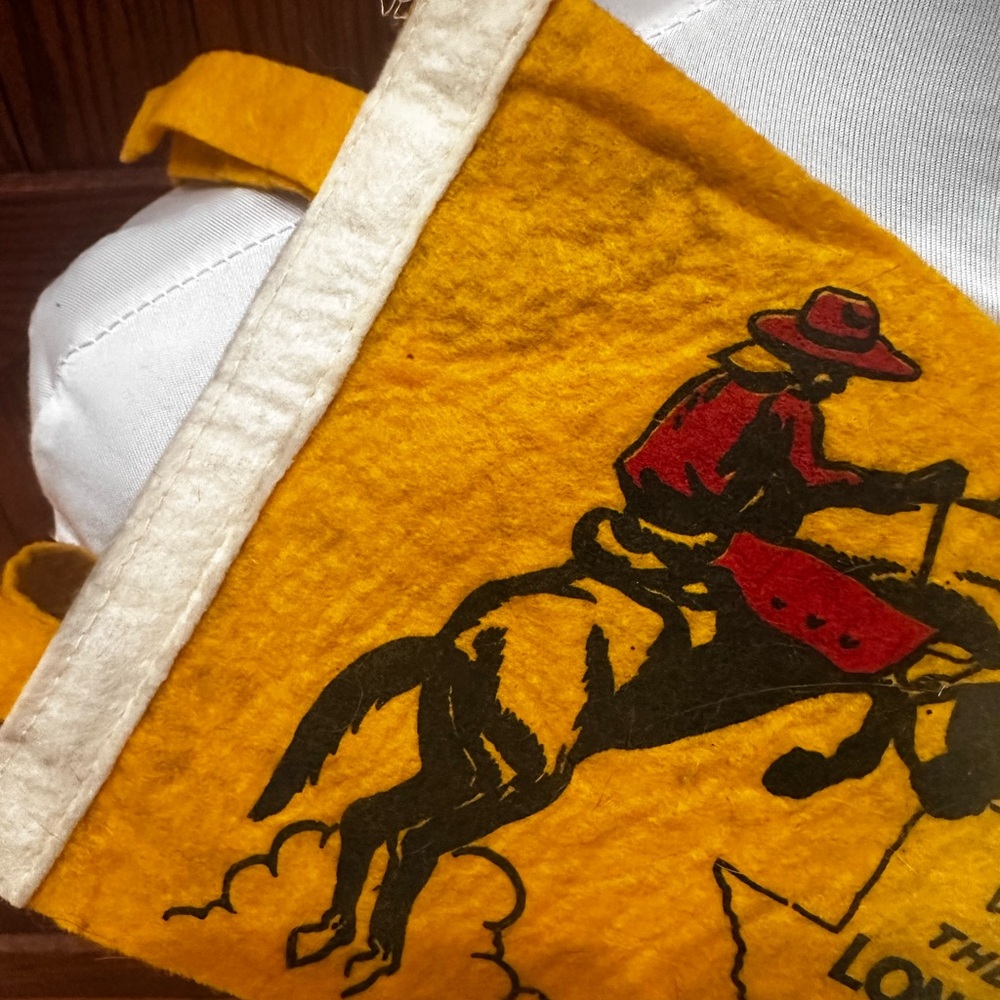 Vintage Texas Pennant - Picture 6 of 8